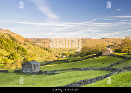 Evening light over Upper Swaledale, ' Yorkshire Dales National Park, North Yorkshire, England, UK Stock Photo