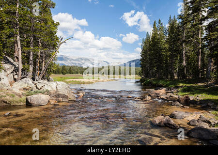 Toulumne river and meadow in California's popular Yosemite National Park. Stock Photo