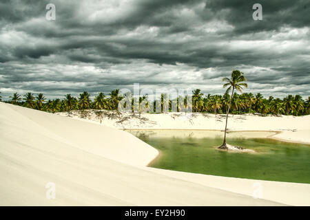 Paradise among dunes in Preá Beach, Jericoacoara, Ceará, Brazil Stock Photo