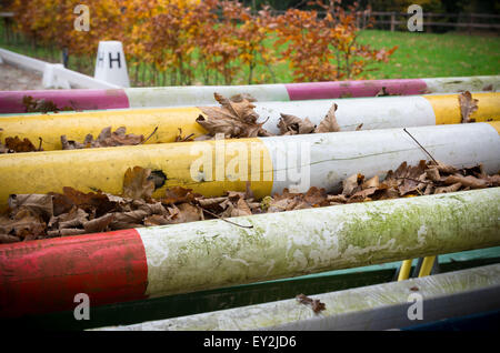 colored wooden poles for horse jumping Stock Photo