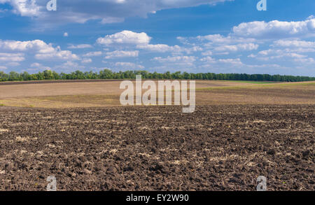 Ukrainian agricultural landscape at fall season Stock Photo