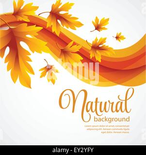 Autumn leaves background. Vector illustration Stock Vector