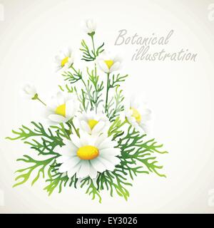 Botanical vector illustration. Vintage floral card Stock Vector