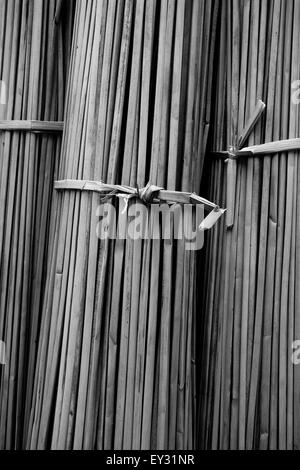 Bundles of reeds used to make 'Caballitos de totora' ('little reed ...