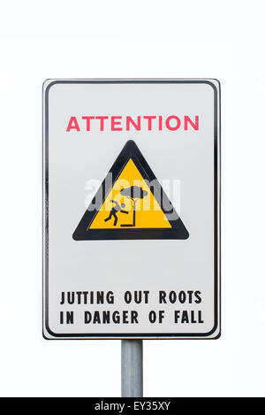 warning sign danger of fall signal caused by exposed roots isolated on white background Stock Photo