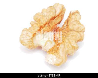 walnuts on a white background Stock Photo