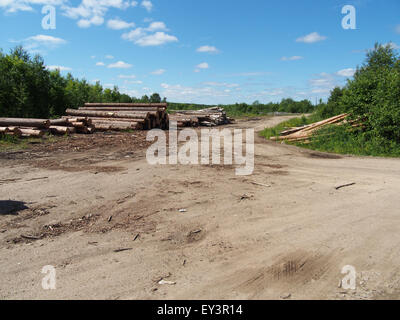 logs off road Stock Photo