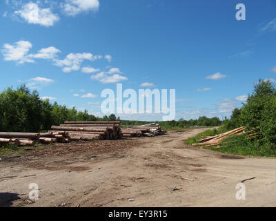 logs off road Stock Photo