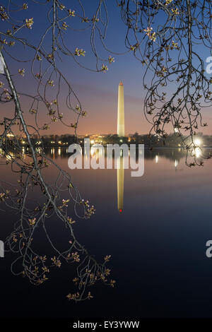 Washington Monument at dawn reflected in the lake. Stock Photo