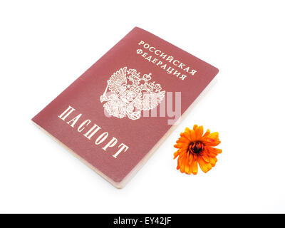 Russian passport and flowers on a white background Stock Photo