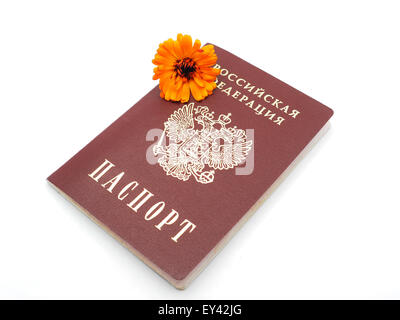 Russian passport and flowers on a white background Stock Photo