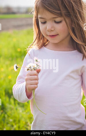 Smiling Young Girl in Field Looking at Daisies in Her Hands Stock Photo