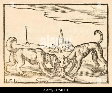 'The Dog And The Wolf' Fable By Aesop (circa 600BC). A Famished Wolf ...