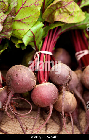 Close up picture of organic beets from a local farmer's market Stock Photo