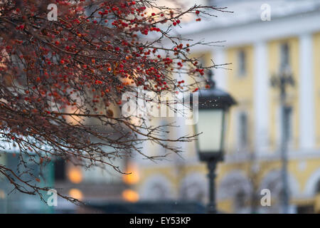 Crab apple tree and an old lantern in Moscow street in rainy winter weather Stock Photo
