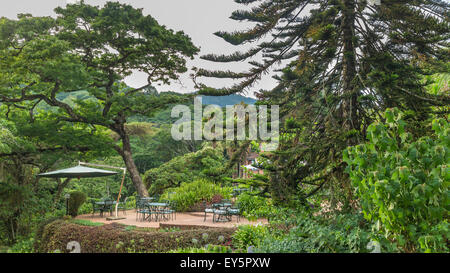 Tables set in a beautiful garden with gigantic trees in the the Mountains Stock Photo