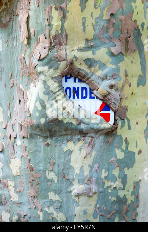Plane tree bark covering a sign Stock Photo
