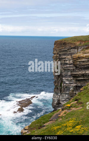 The cliffs at Marwick Head, Mainland Orkney, Scotland, UK Stock Photo ...