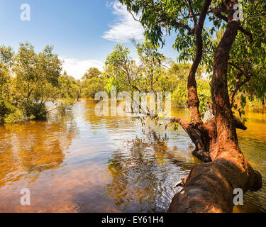 Myora Springs, important Aboriginal site of unique wetlands on Stradbroke Island, Queensland, Australia Stock Photo