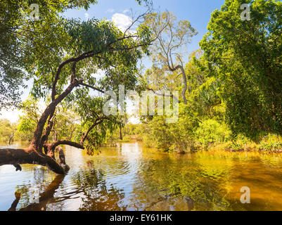 Myora Springs, important Aboriginal site of unique wetlands on Stradbroke Island, Queensland, Australia Stock Photo