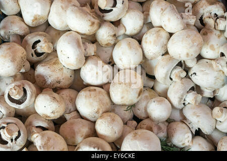 Fresh champignons for sale at a market Stock Photo