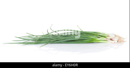 Fresh garden herbs. Spring onion. Isolated on white background Stock Photo