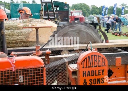 Sawing logs into planks using traditional sawmill. Stock Photo