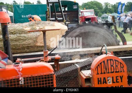 Sawing logs into planks using traditional sawmill. Stock Photo