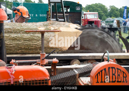 Sawing logs into planks using traditional sawmill. Stock Photo