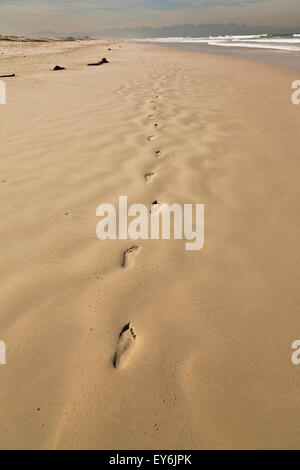 Footprints in the sand, Muizenberg beach South Africa Stock Photo