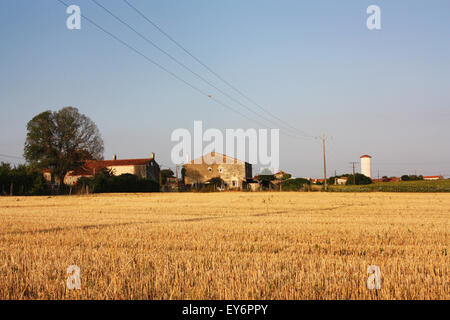 Landscape view of French Rural Farmland with ripe wheat field in the foreground Stock Photo