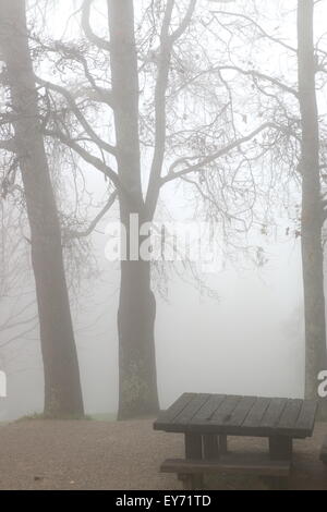 Foggy morning at Sky High Mount Dandenong Stock Photo