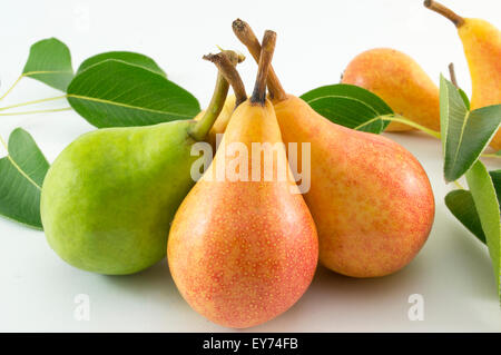 Green and orange pears and a fresh  pear  branch on white backgrround Stock Photo