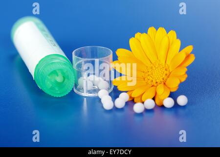 Calendula Officinalis flower, homeopathic pills around and plastic container Stock Photo