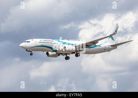 tailwind airlines turkish