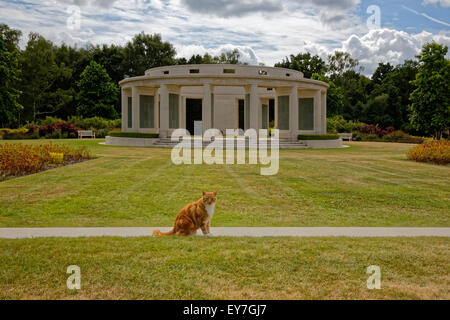 A ginger cat facing viewer & sitting in front of the 1939 - 1945 Brookwood Memorial to the missing in England Stock Photo
