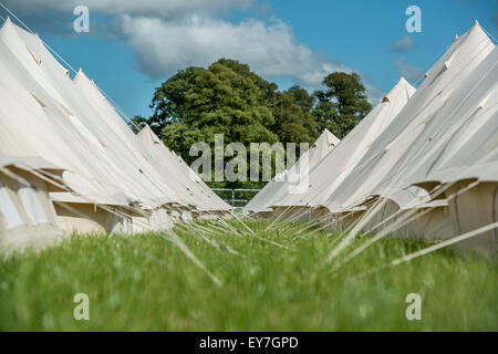 Lines of eco boutique tents and teepee camping at the Somersault Festival at Castle Hill Estate, in Filleigh, Devon, UK Stock Photo