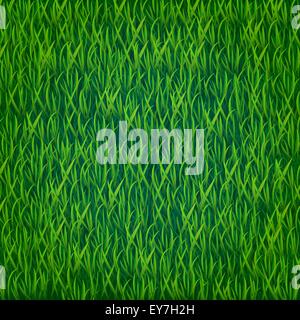 Vector green grass background Stock Vector