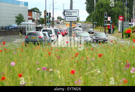 Traffic navigates a roundabout  brimming with sown wildflowers in the Parkgate area of , Yorkshire England UK Stock Photo