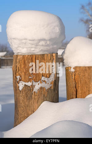 Two snow-covered tree stump on a background of blue sky. Stock Photo