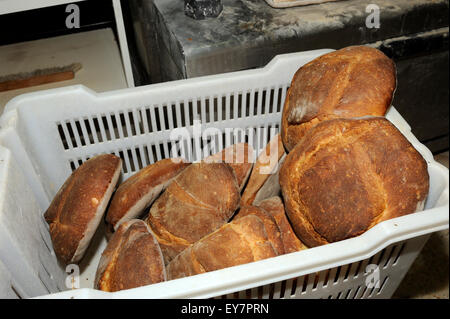 Italy, Basilicata, bakery, bread Stock Photo