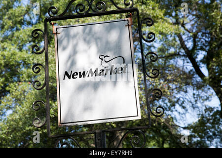 A logo sign outside of the headquarters of the NewMarket Corporation in Richmond, Virginia on July 19, 2015. Stock Photo