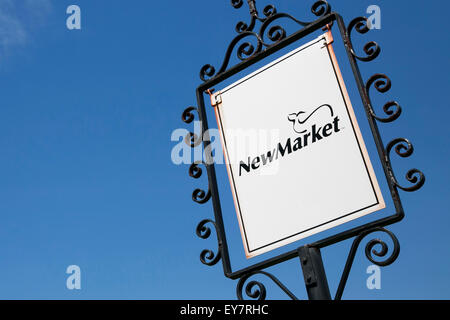 A logo sign outside of the headquarters of the NewMarket Corporation in Richmond, Virginia on July 19, 2015. Stock Photo