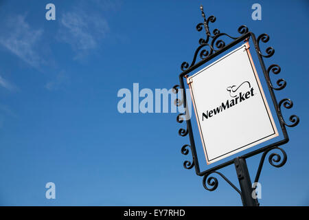 A logo sign outside of the headquarters of the NewMarket Corporation in Richmond, Virginia on July 19, 2015. Stock Photo