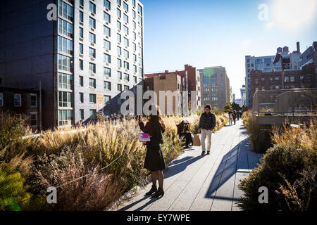 High Line Park in NYC. The High Line is a public park built on an historic freight rail line elevated above Manhattan Stock Photo