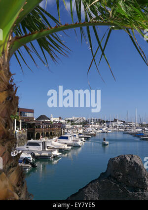 Marina Rubicon Lanzarote luxury marina framed by palm tree with lava rock in foreground Lanzarote Canary Islands Spain Stock Photo