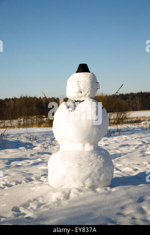 high snowman Stock Photo