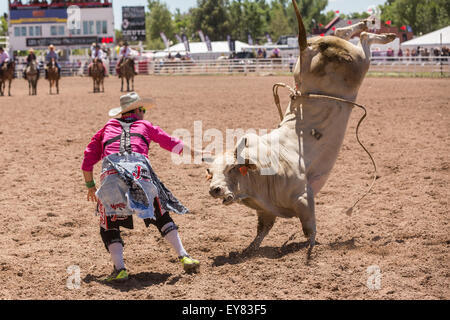 Wyoming, USA. 23rd July, 2015. A rodeo clown tries to calm an angry bull after throwing the rider during Bull Riding at the Cheyenne Frontier Days rodeo at Frontier Park Arena July 23, 2015 in Cheyenne, Wyoming. Frontier Days celebrates the cowboy traditions of the west with a rodeo, parade and fair. Stock Photo