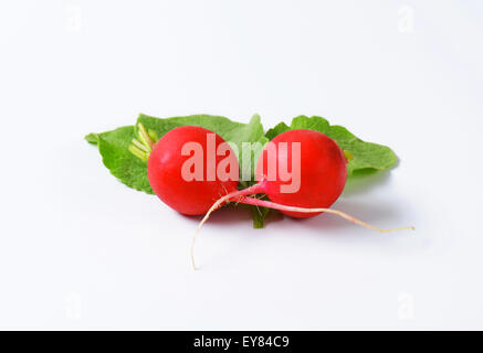 Two fresh red radishes on white background Stock Photo