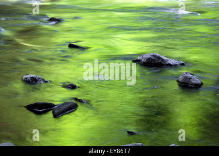 Stones in the riverbed, Wutachschlucht gorge, Black Forest, Baden-Württemberg, Germany Stock Photo